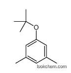 1,3-dimethyl-5-[(2-methylpropan-2-yl)oxy]benzene