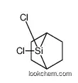 7,7-dichloro-7-silabicyclo[2.2.1]heptane