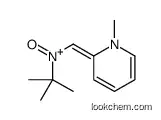 tert-butyl-[(1-methylpyridin-2-ylidene)methyl]-oxoazanium