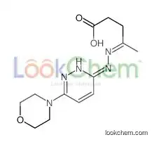 (4E)-4-[(6-morpholin-4-ylpyridazin-3-yl)hydrazinylidene]pentanoic acid
