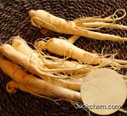 PANX GINSENG EXTRACT