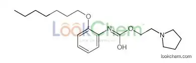2-pyrrolidin-1-ylethyl N-(2-heptoxyphenyl)carbamate