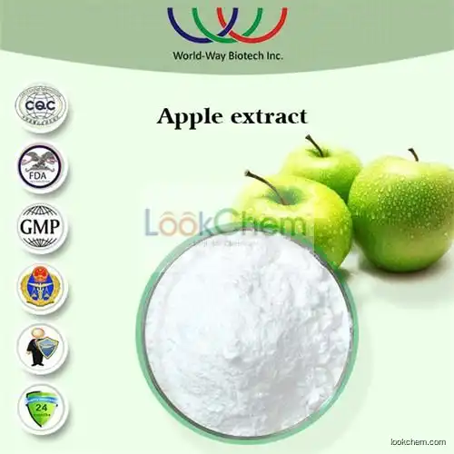 2016 China GMP KOSHER HACCP manufacturer supply Apple Fruit Extract Powder,Malus Pumila extract with 98% Phloridzin