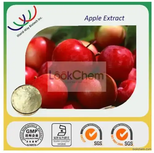 2016 China GMP KOSHER HACCP manufacturer supply Apple Fruit Extract Powder,Malus Pumila extract with 98% Phloridzin