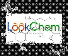 Tobramycin Sulphate