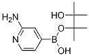 2-Aminopyridine-4-boronic acid pinacol ester