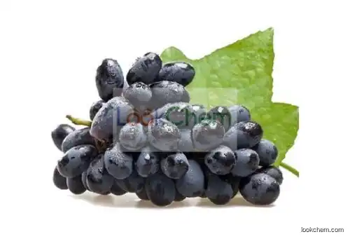 Black Currant Extract(458-37-7)