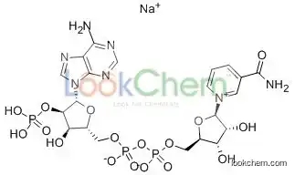 β-Nicotinamide adenine dinucleotide phosphate sodium salt hydrate