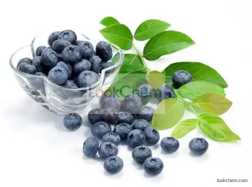 European Bilberry Extract(16837-52-8)