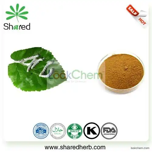 Mulberry Leaf Extract(19130-96-2)