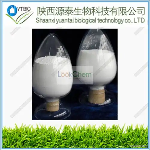 High Quality serratiopeptidase(99% min) powder Cas no.:37312-62-2