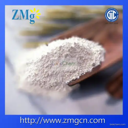 Factory Price Paint Grade Magnesium Oxide Powder(1309-48-4)