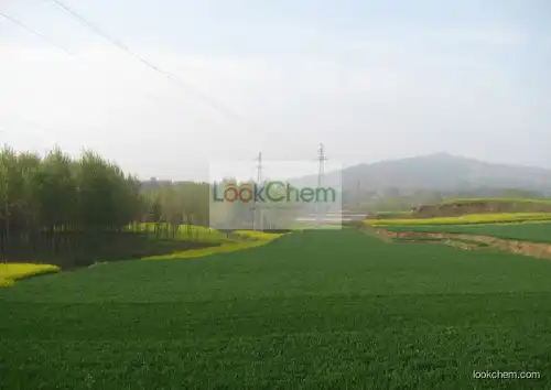 China Agricultural Adjuvant