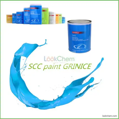 Water based heat resistant car paint clear coat