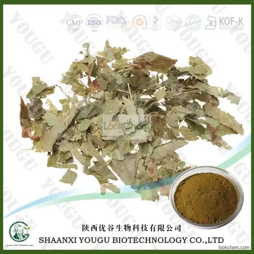 China Herbal medicine extracts Epimedium grandiflorum P.E. Icariin Wholesaler