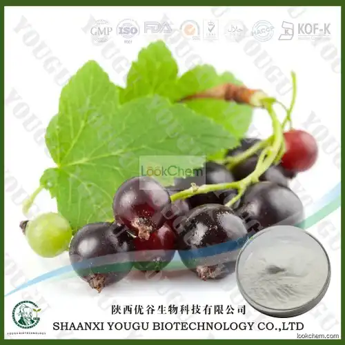 China 100% Natural source high purity alpha arbutin 99% powder manufacturer