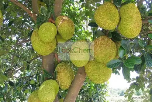 China Silicone Spreading and Penetrating Agent for Fruit