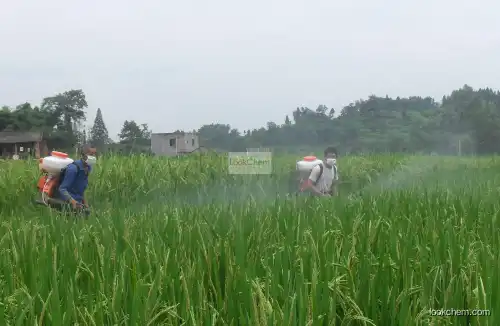 Wetting Agent for Agricultural