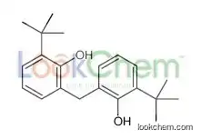 2-tert-butyl-6-[(3-tert-butyl-2-hydroxyphenyl)methyl]phenol