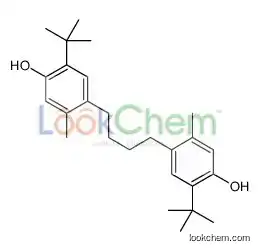 2-tert-butyl-4-[4-(5-tert-butyl-4-hydroxy-2-methylphenyl)butyl]-5-methylphenol