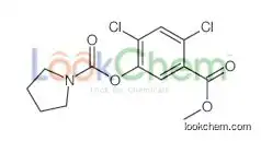 (2,4-dichloro-5-methoxycarbonylphenyl) pyrrolidine-1-carboxylate