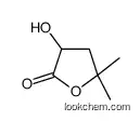 3-hydroxy-5,5-dimethyloxolan-2-one