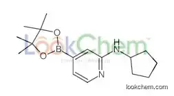 N-cyclopentyl-4-(4,4,5,5-tetramethyl-1,3,2-dioxaborolan-2-yl)pyridin-2-amine