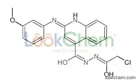 N'-(2-chloroacetyl)-2-(3-methoxyanilino)quinoline-4-carbohydrazide