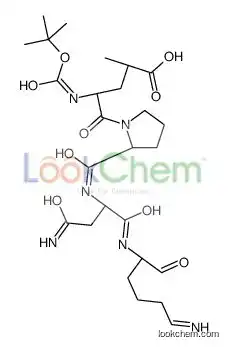 (4S)-5-[(2S)-2-[[(2S)-4-amino-1-[[(2S)-6-imino-1-oxohexan-2-yl]amino]-1,4-dioxobutan-2-yl]carbamoyl]pyrrolidin-1-yl]-2-methyl-4-