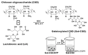 Chitosan oligosaccharide;Glucosamine HydroClothianidinchloride; Clothianidin