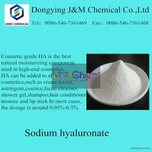 Food Grade Sodium Hyaluronate