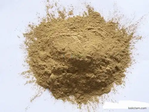 Banaba Leaf Extract Corosolic Acid Corosolic Acid 1% -98% banaba