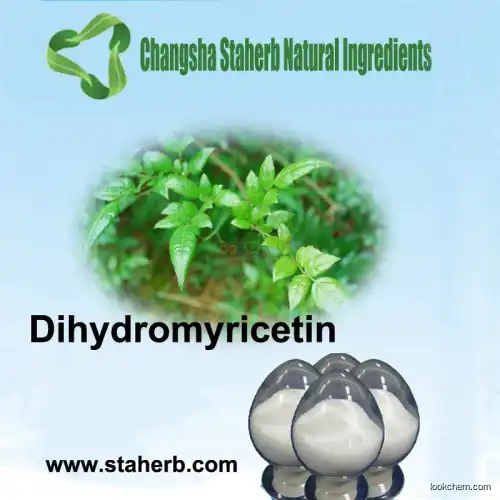 50%-98% DMY Dihydromyricetin Power CAS 27200-12-0 Vine Tea Extract Dihydromyricetin