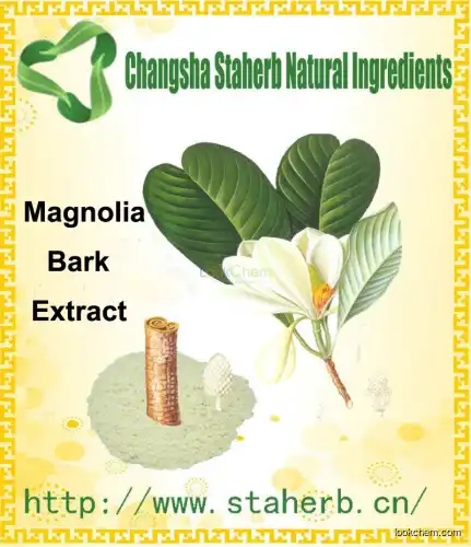 Magnolia Extract Herbal Extract 90%,98% Magnolia Extract Honokiol /Magnolol