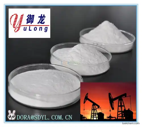 Oil drilling CMC PAC Yulong plant quality