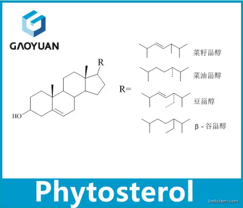 phytosterol 99%