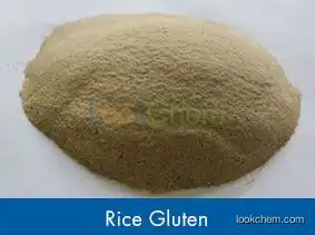 Rice Protein - 50%