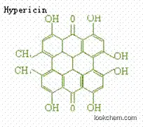 High quality  Hypericum perforatum L