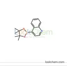 1035458-54-8  4-(4,4,5,5-tetramethyl-1,3,2-dioxaborolan-2-yl)quinoline