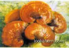 High quality Ganoderma lucidum extract：ganoderan triterpene