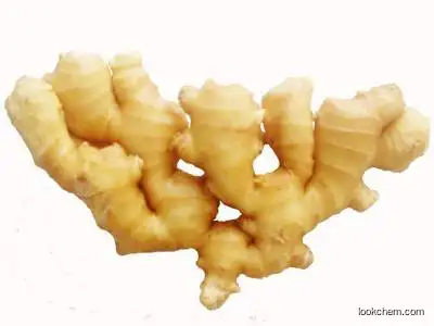 High quality Ginger extract