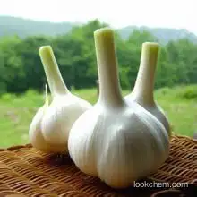 High quality Garlic extract