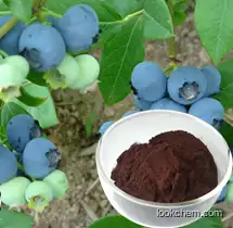 High quality Bilberry Extract