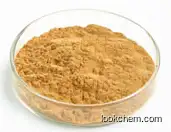 High quality Ginkgo Leaf Extract