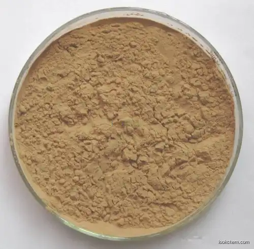 High purity 4-(4-Aminophenoxy)-N-methylpicolinamide