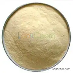 Garlic Extract Allicin CAS NO.539-86-6