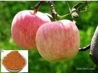 Apple Extract