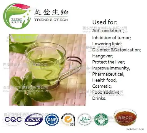100% nature green tea extract polyphenols/EGCG/L- theanine(84650-60-2)