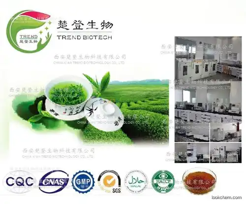 100% nature green tea extract polyphenols/EGCG/L- theanine