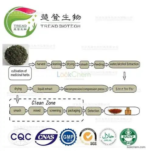 100% nature green tea extract polyphenols/EGCG/L- theanine